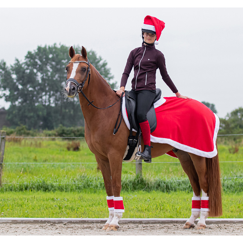 QHP Christmas Exercise Sheet - Red - L-1