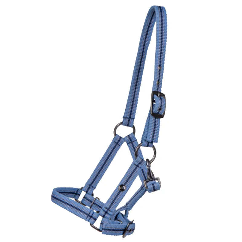 QHP Foal Headcollar Collection - Country Blue