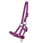 QHP Foal Headcollar Collection - Festival