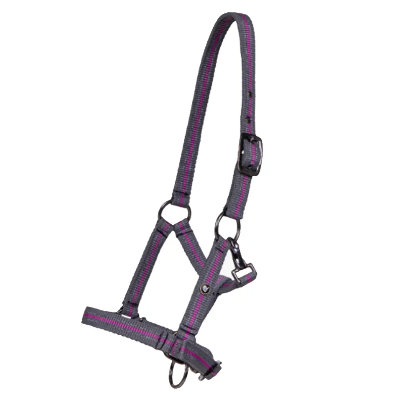 QHP Foal Headcollar Collection - Python