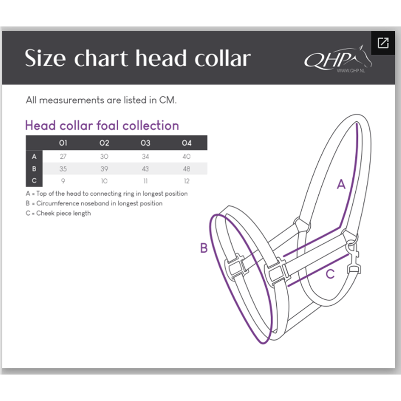 QHP Foal Headcollar Collection - Festival-2