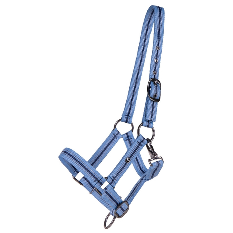 QHP Yearling Headcollar Collection - Country Blue