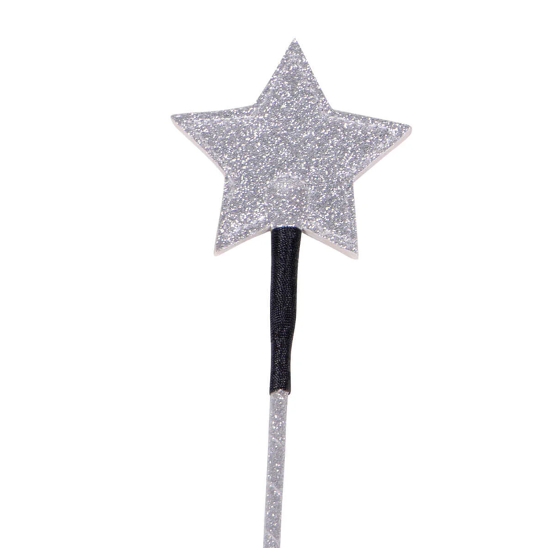 QHP Riding Whip Gwenn  - Silver - 65cm-1