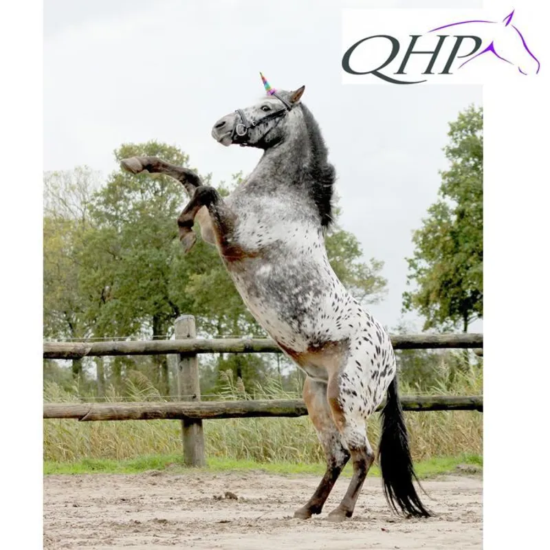 QHP Unicorn Horn -1