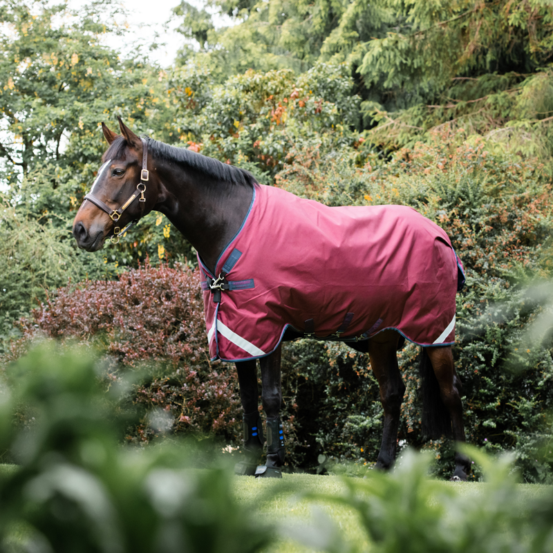 Horseware Rambo Original Lite 0g Turnout Rug With Leg Arches - Burgundy/Burgundy/Teal/Navy-1