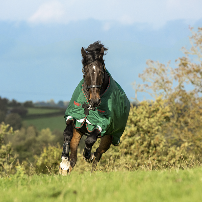 Horseware Rambo Original 100g Turnout Rug With Leg Arches - Green/Red-4