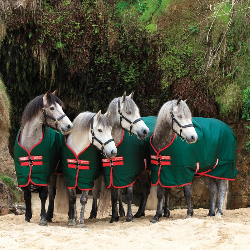 Horseware Rambo Original Heavy 400g Turnout Rug - Green/Red-1
