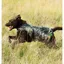 Horseware Rambo Camouflage Dog Rug Coat - Mix Green - XS