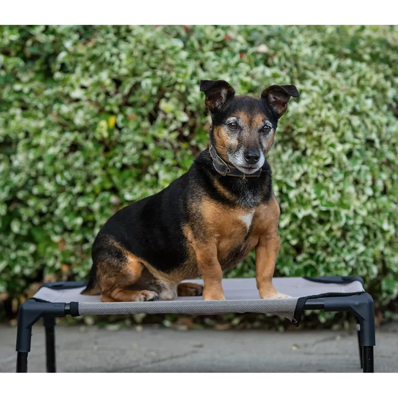 Horseware Rambo Hammock Dog Bed - Oatmeal - M