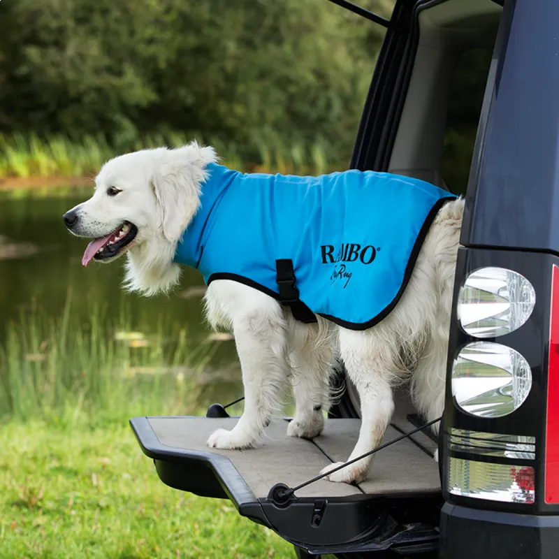 Horseware Rambo Dog Dry Rug Blue/Black