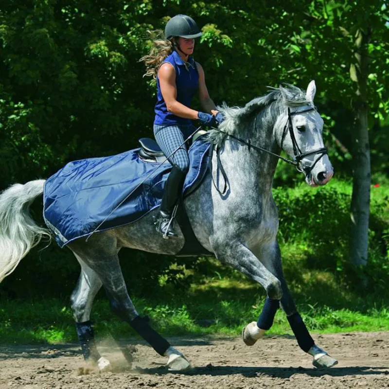 Rhino Competition Sheet