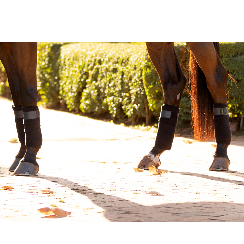 LeMieux Rhone Polo Bandages - Petrol Blue-1