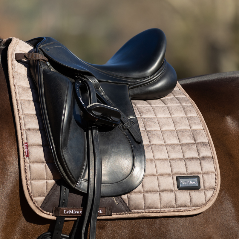 LeMieux Rhone Dressage Square - Prosecco-1