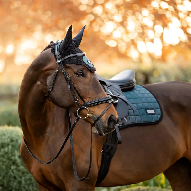 LeMieux Rhone EuroJump Square - Petrol Blue-2