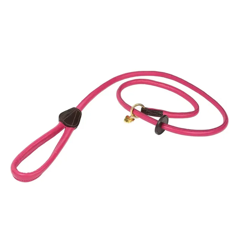 Digby And Fox Rolled Leather Slip Lead - Pink
