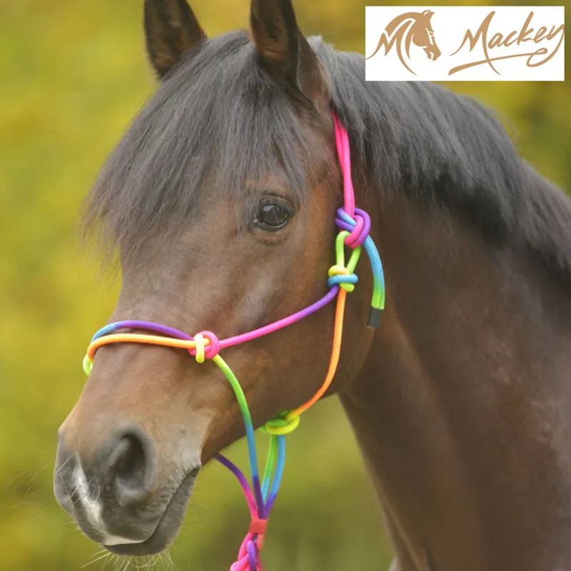 Mackey Paretti Rope Halter - Multicolour