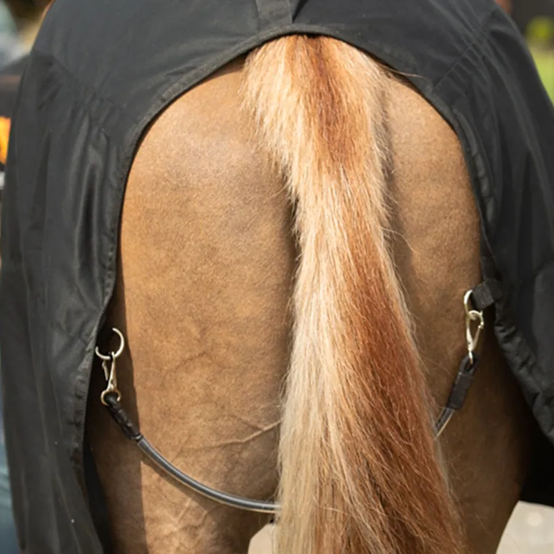 Equilibrium Magnetic Rug - Black-4