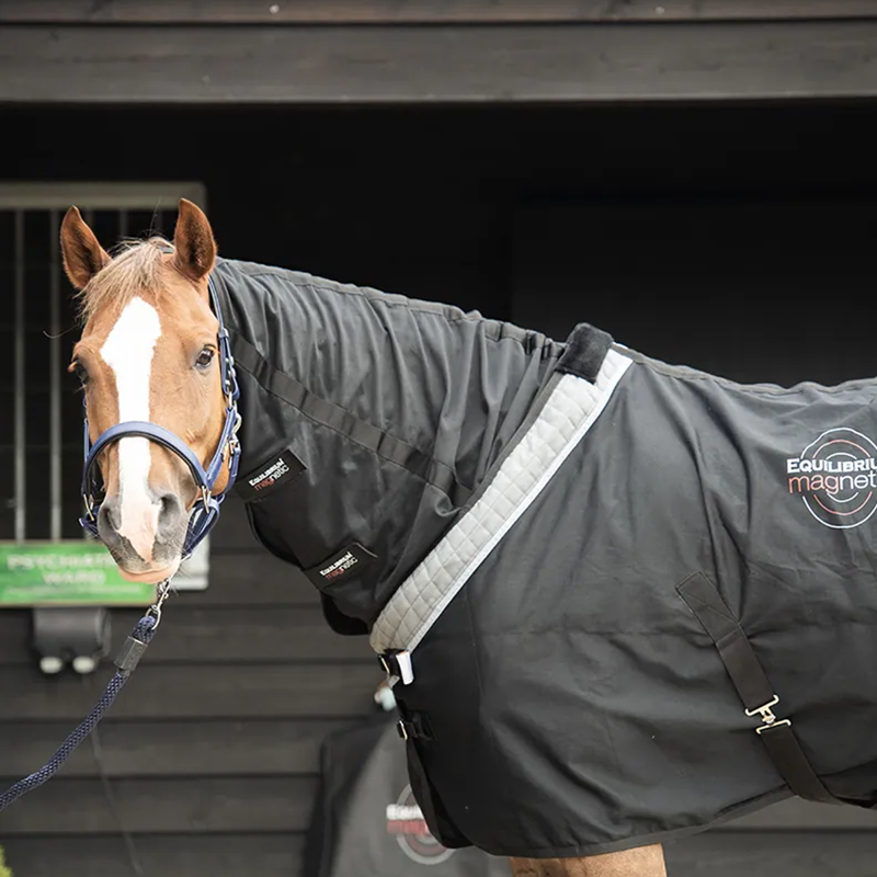 Equilibrium Magnetic Rug - Black-1