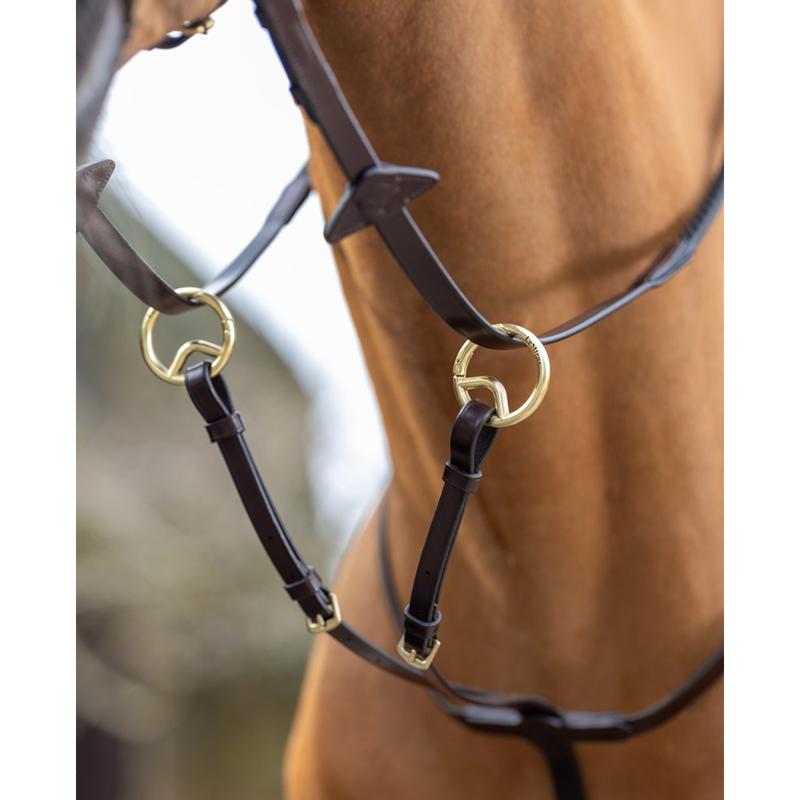 LeMieux Running Martingale - Havana-1