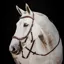Horseware Micklem 2 Deluxe Competition Bridle - Dark Havana