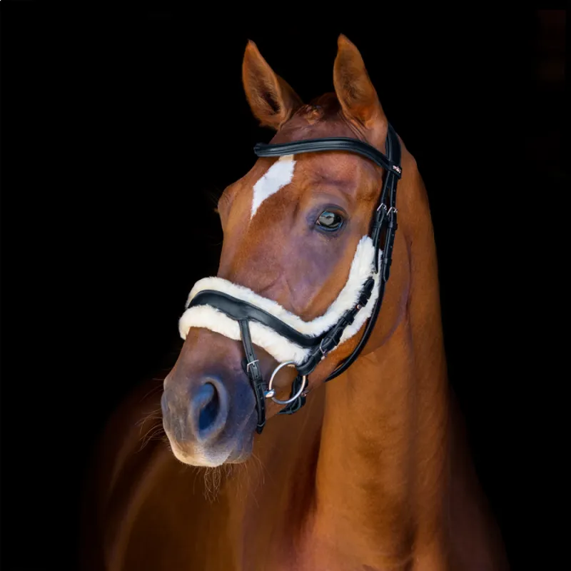 Schockemohle Equitus Zeta Anatomical Bridle - Black/Silver-1