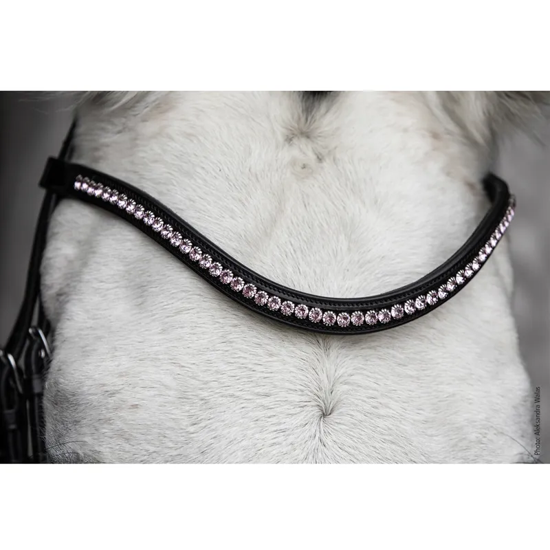 Schockemohle Diamond Select Browband - Black/Mauve
