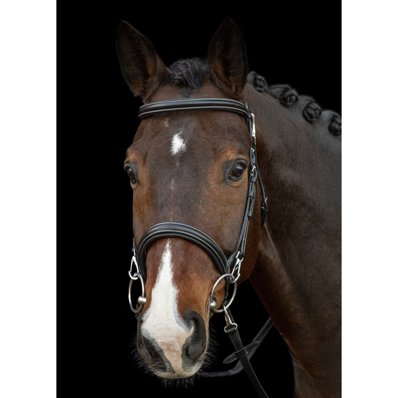 Schockemohle Dortmund Bridle - Black/Cream/Silver-1
