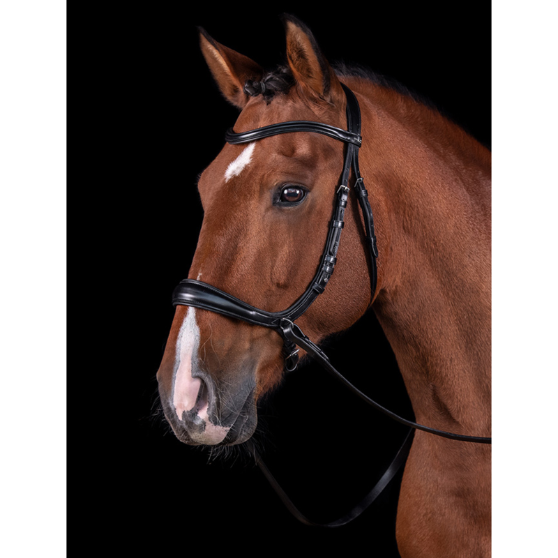 Schockemohle Equitus Theta Bridle - Black/Silver-1
