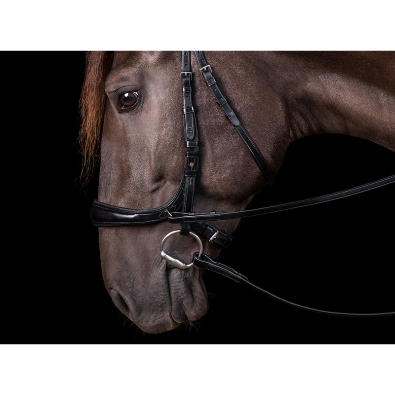 Schockemohle Equitus Theta Bridle - Black/Silver-5