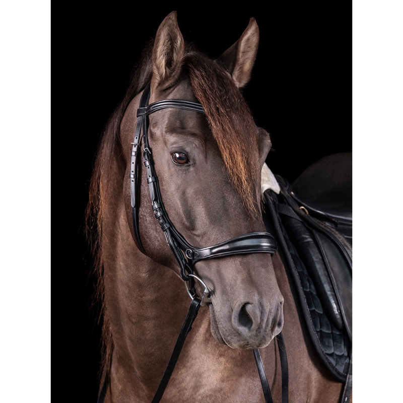 Schockemohle Equitus Theta Bridle - Black/Silver-4