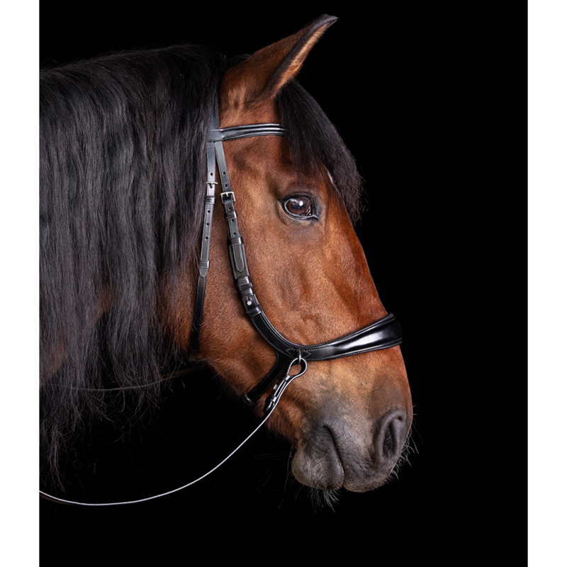 Schockemohle Equitus Theta Bridle - Black/Silver-3