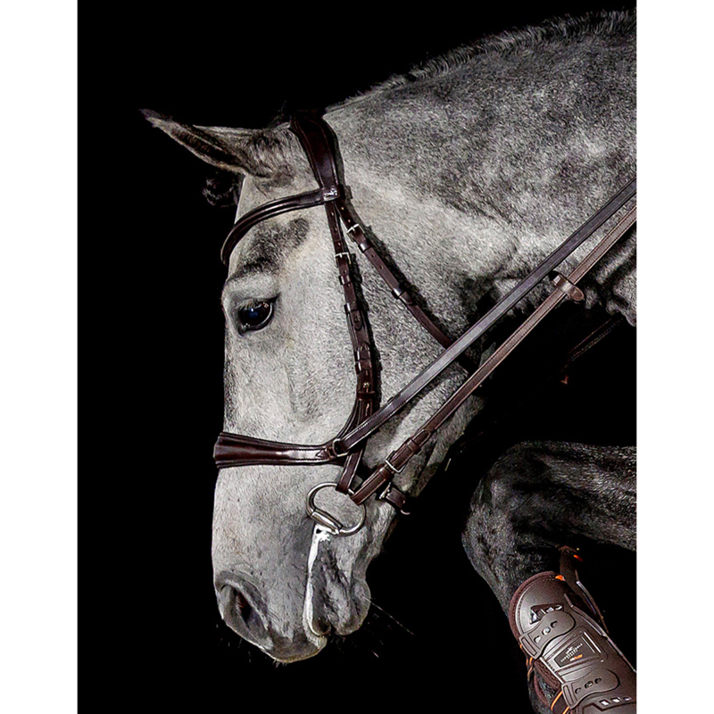 Schockemohle Equitus Theta Bridle - Espresso/Silver-1
