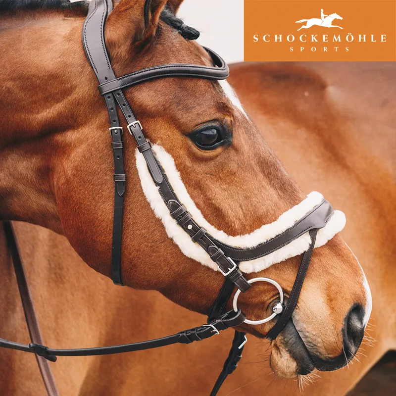 Schockemohle Equitus Zeta Anatomical Bridle - Espresso/Silver