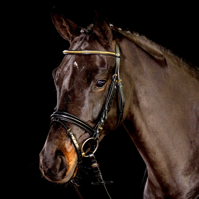 Schockemohle Heidelberg Bridle - Black/Gold-1