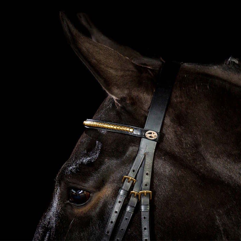 Schockemohle Heidelberg Bridle - Black/Gold-2