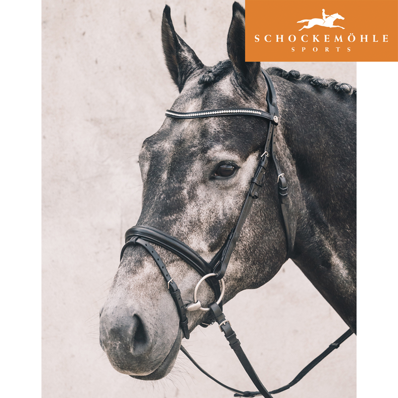 Schockemohle Oslo Bridle - Dark Brown/Silver-1
