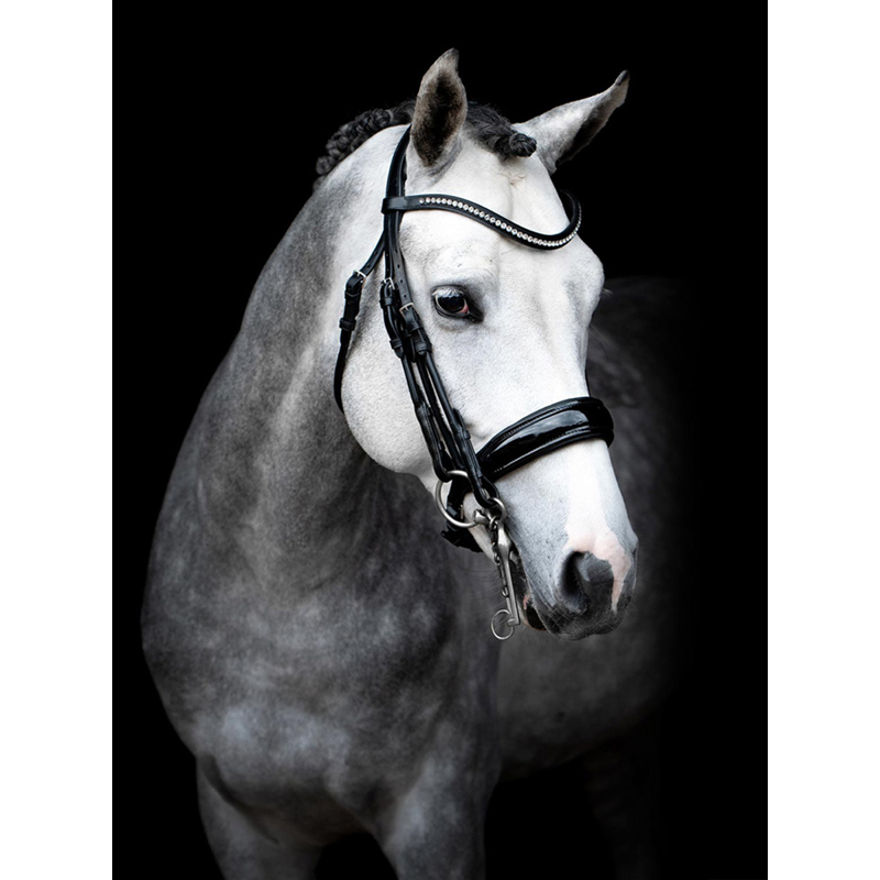 Schockemohle Venice Rolled Anatomic Double Bridle - Black/ Patent/Silver-1