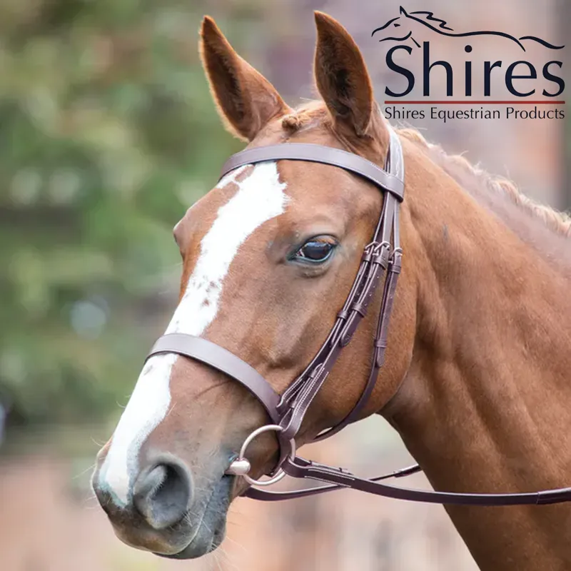 Avignon Hunter Cavesson Bridle - Oak