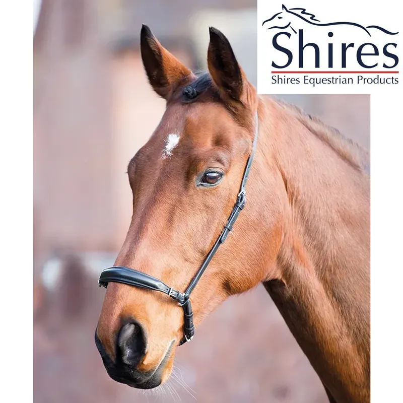Shires Aviemore Drop Noseband - Black