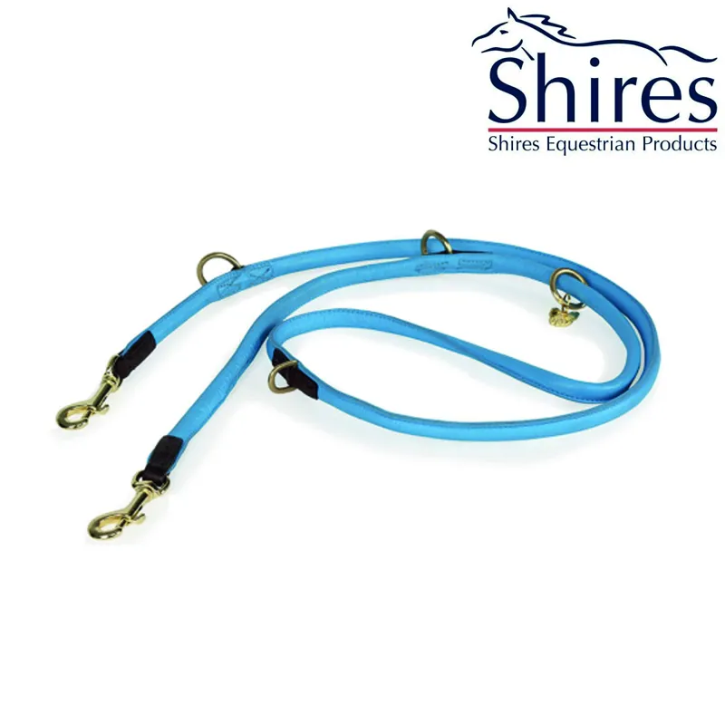 Digby and Fox Rolled Leather Training Dog Lead - Blue