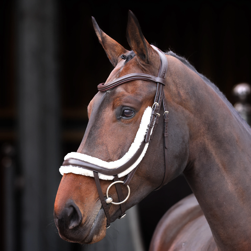 Shires Velociti Rapida Fleece Lined Curved Flash Noseband - Havana-1