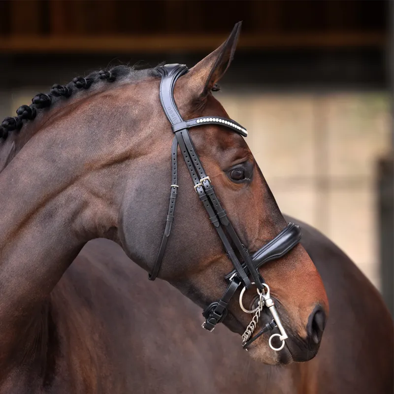 Shires Velociti Lusso Elite Double Bridle - Black