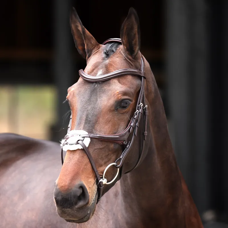 Shires Velociti Lusso Elite Grackle Bridle - Havana