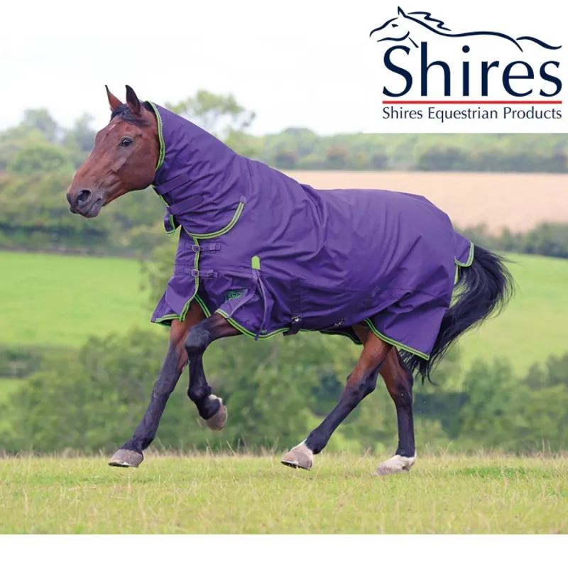 Shires Highlander Original 100g Combo Turnout Rug - Purple/Green