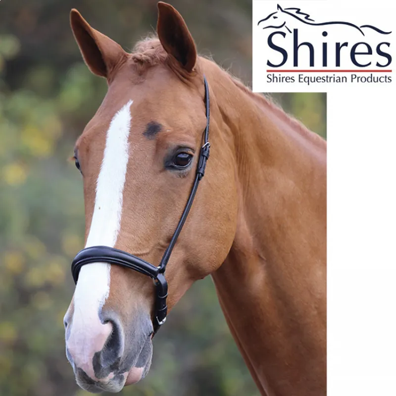 Shires Blenheim Padded Drop Noseband - Black