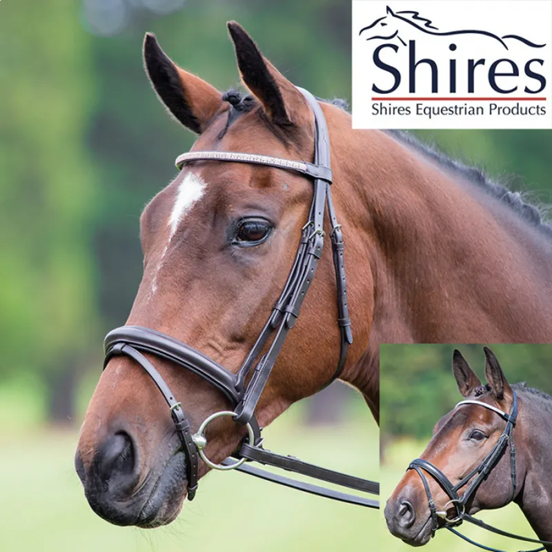 Shires Velociti Diamante Flash Bridle -  Havana-1