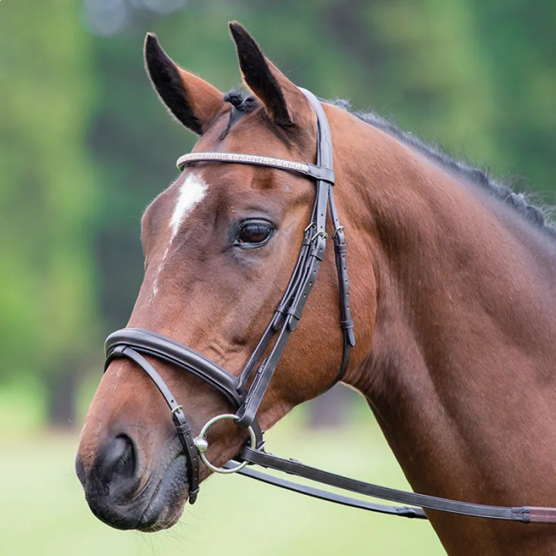 Shires Velociti Diamante Flash Bridle -  Havana