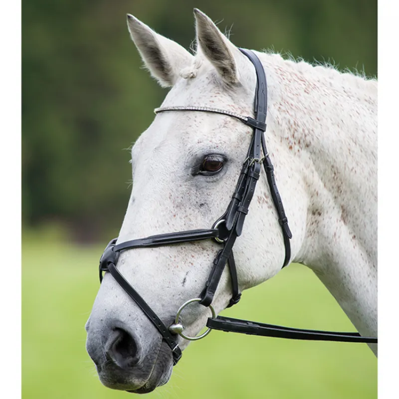 Shires Aviemore Diamante Grackle Bridle - Black-1