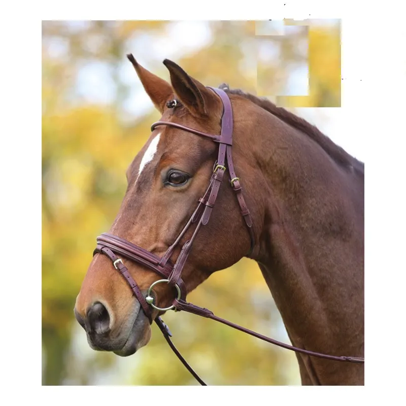 Shires Adelfia Rolled Leather Bridle - Brown 