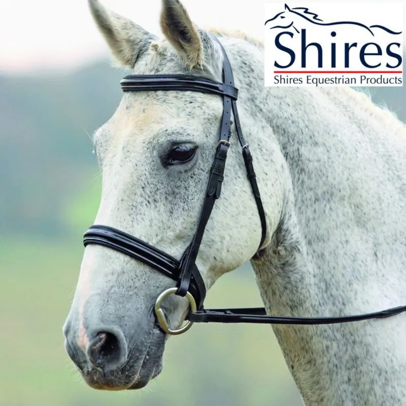 Shires Argenta Patent Dressage Bridle  - Sale - Black 